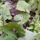 만복경로당 이미지