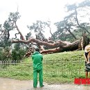 꿈틀거리는 마을 이미지