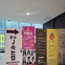 사라헤어살롱 - 광진구 | 동탄 미용실 진짜 예쁘게 잘해주신 더에비뉴헤어 내돈내산