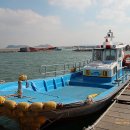 돌고래좌대낚시터 이미지