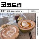코코파크 | 필리핀 세부 제이파크 카페 코코드립 망고 코코넛 아이스크림 내돈내산 솔직후기