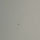 1박2일펜션 이미지