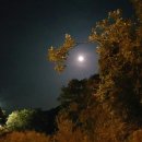 [동요] 가을밤 이미지