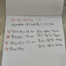 뮤지컬 알라딘 한국 초연 부산 드림씨어터 1차 티켓팅 성공 후기