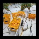 이루농장 이미지