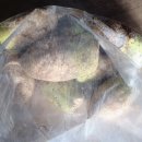 선애농장 이미지