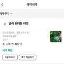 [발리/Bali 3주] D+14,15 요가원 Koashala, 사누르 해변 즐기기✨, 신두 야시장(Sindu), 워터봄 발리...