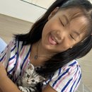 냥이파파 이미지