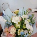 유노이아 이미지