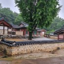 정태진 묘 | 파주가족여행 아침산책 [교하향교]