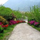 남한강로 이미지