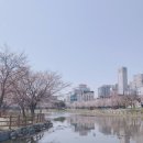 운천저수지 이미지