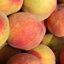 승래농장 이미지