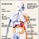 식욕부진 소화불량에 좋은 약술 이미지