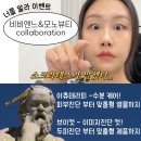 뷰티살롱 수헤어