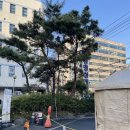 광명성애병원 이미지