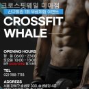 웨일 미아점 | 서울 미아동 헬스장 크로스핏웨일 미아점 기구 종류별 운동법 정리