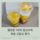 고망고 | 양주 옥정, 땡모망 1리터 망고수박 고망고 후기