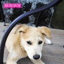 마메종펜션 이미지