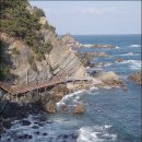 바우길 9구간 이미지