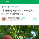 복숭아아저씨 이미지