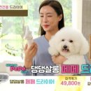댕댕쌀롱 이미지