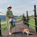 한우목장 Daum카페
