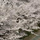 오리개2교 | 소개팅하면 무조건 성공할꺼같은 양재천 와인바는? (feat.더바냐)