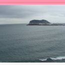 작가의 산책길 이미지