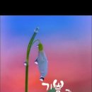 맑은아침 이미지