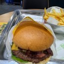 고흥녹동항에서 처음 맛본 프랭크버거 /내돈내산 / 크리스피치킨버거 추천