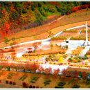 신원면 과정리 이미지