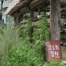 멍문(moon) 이미지