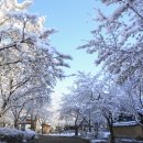 거창-위천-4 이미지