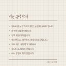 마레스튜디오