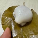 동산떡방앗간 - 안산시 상록구 감골1로 37 | 경남 의령 맛집, 원조 소바 '다시식당' 대표 망개떡 '남산떡방앗간'