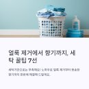 향기나세탁 이미지