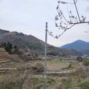 신호농장 이미지