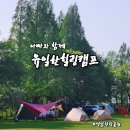 캠프원 관광농원 | [캠핑] 아빠와 함께 유일한힐링캠프 / 청암관광농원