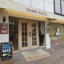 베이글카페(서울화양점) | 성수 베이글 맛집 서울숲 카페 귀여운 한입베이글 6개 포장 후기 (베이글 종류,가격)