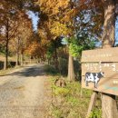 일구목장 이미지