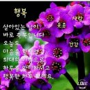 03월 12일(월) 신문을 통해 알게된 이야기들 이미지