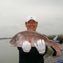 서해대교바다낚시터 이미지