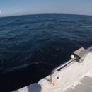 더 필드 이미지