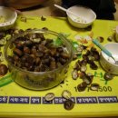 식물원주유소 이미지