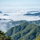 산사의아침 | 제천 백련사 산사의 아침
