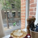 로즈멍 | [호주] 시드니 | 로얄 보타닉 가든 • Two good egg cafe • QVB • 로즈베이