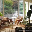 커피바 오하 | [내돈내산]광화문 카페 커피바 오하｜조용한 종로 플랜테리어 카페/ 직장인 카페 / 대관 카페 방문 후기