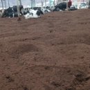 돈이농장 이미지