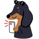 펫클럽샵 이미지